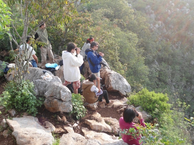 Fotografiando la naturaleza